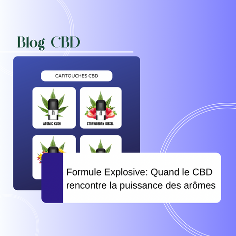 Découvrez les cartouches CBD Formule Explosive et leurs saveurs inédites : Atomic Kush, Strawberry Diesel, Tropicana Bang, Orange Explosive. Un voyage sensoriel à ne pas manquer !