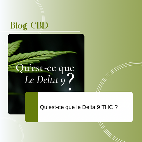 Découvrez tout sur le Delta-9 THC : ses effets, sa légalité et les produits disponibles comme les gummies, cookies et sirops. Guide complet sur Cbdeer !