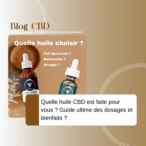 Quelle huile CBD est faite pour vous ? Guide ultime des dosages et bienfaits