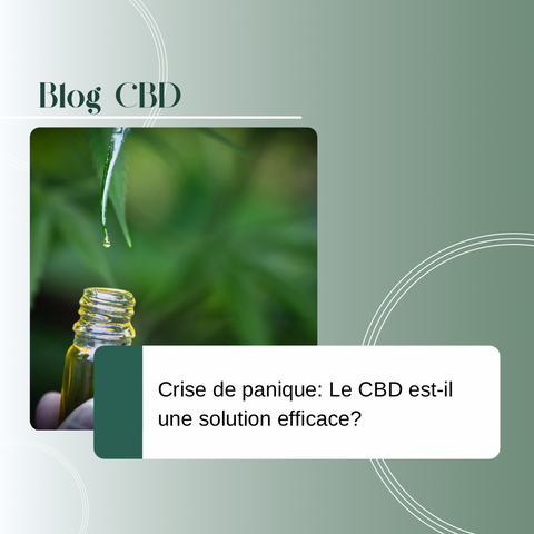 Crises de panique : le CBD est-il une solution efficace ?