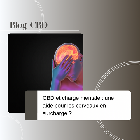 Stress, surmenage, pensées en boucle… Le CBD peut-il aider à alléger la charge mentale ? On décrypte les effets de ce cannabinoïde sur le cerveau.