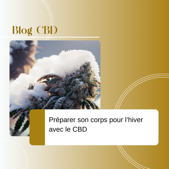 Préparer son corps pour l’hiver avec le CBD