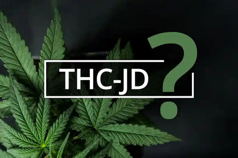 C'est quoi le THC-JD ? - CBDeer