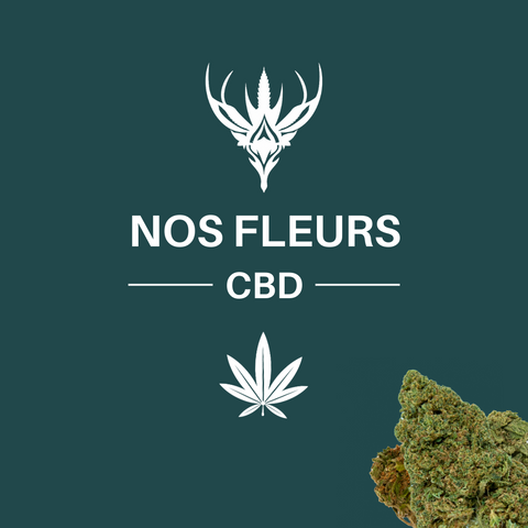 CBDeer - Le meilleur du Cannabis lgal, fleur de CBD, huile de CBD CBDeer - Le meilleur du Cannabis lgal, fleur de CBD, huile de CBD
