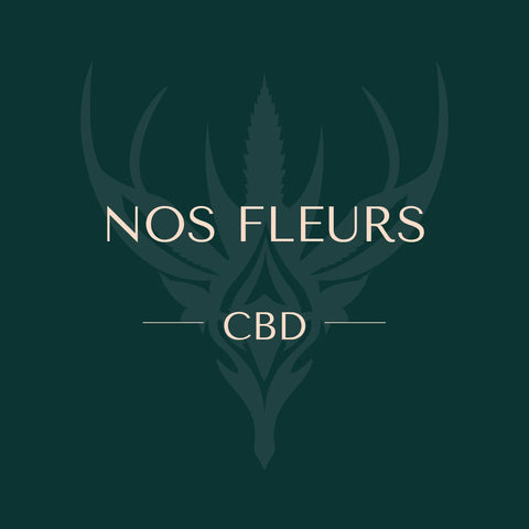 Fleurs de CBD comprenant des variétés Indoor, Outdoor et Greenhouse, pour une expérience naturelle et relaxante