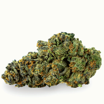 Orange Bud CBX