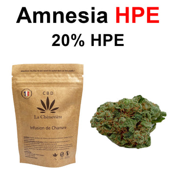 AMNESIA HPE - 20% - LA CHÈNEVIÈRE