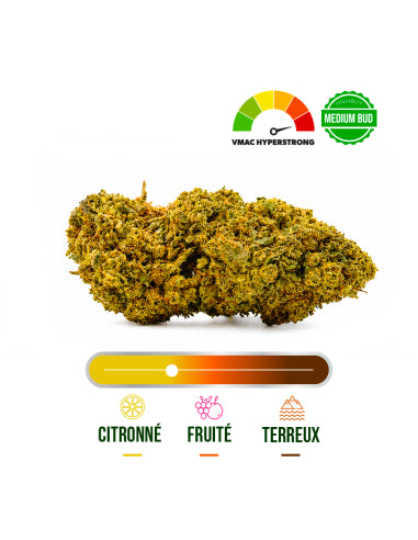 Fleur VMAC Amnesia Kush Hyper Strong – vue 2