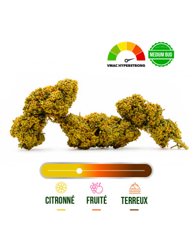 Fleur VMAC Amnesia Kush Hyper Strong