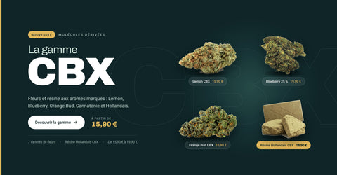 La gamme CBX