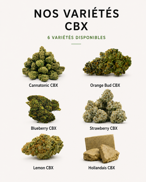 banniere_cbx_cbdeer