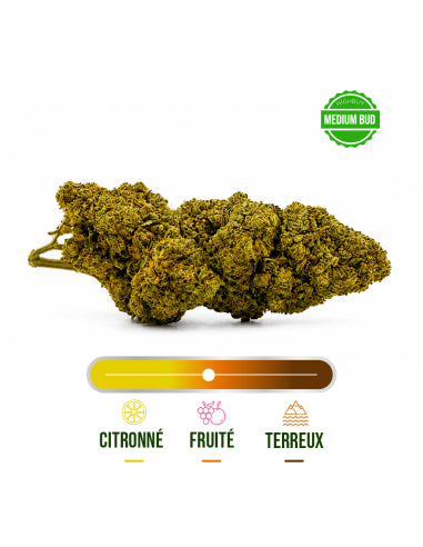 Fleur CBD Blueberry Muffin Greenhouse – vue 2