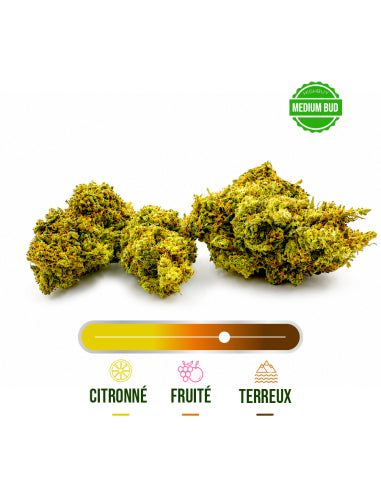 Fleur CBD California Kush Greenhouse – vue 2