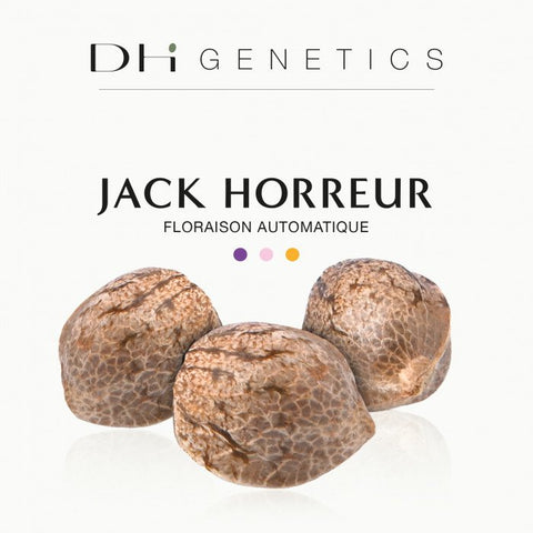 GRAINES CBD - JACK HORREUR - Premium graine cbd from delihemp - Just $16.90! Shop now at CBDeer