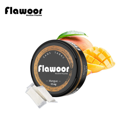 NICOTINE POUCHES FLAWOOR  –  SACHETS NICOTINÉS SANS TABAC - Premium  from FLAWOOR - Just $5.90! Shop now at CBDeer