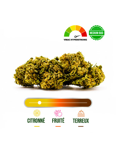 Fleur VMAC Forbidden Hyper Strong – vue 2