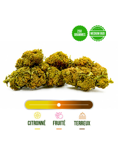 Fleur CBD Don Papa Greenhouse