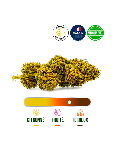 Fleur CBD La Toulousaine Indoor – vue 2