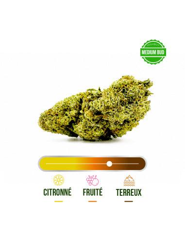Fleur CBD Mandarine Kush Greenhouse – vue 2
