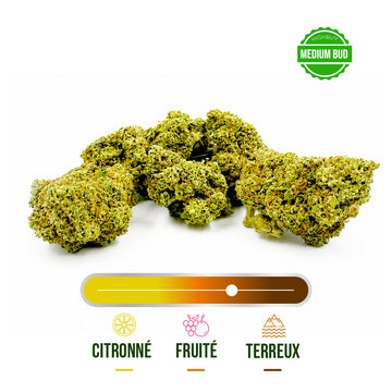 Fleur CBD Mandarine Kush Greenhouse