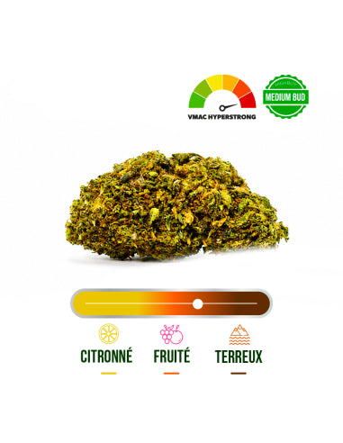 Fleur VMAC Orangello Hyper Strong – vue 2