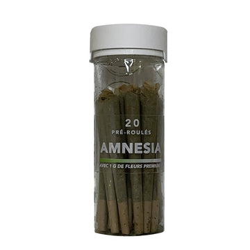 PRÉ-ROULÉ AMNESIA / 20PCS - BEULLYWOOD