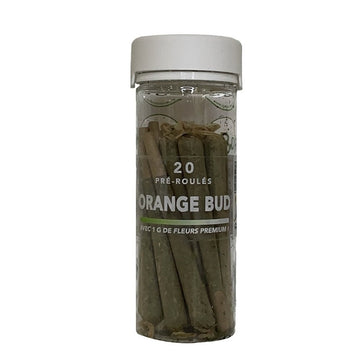 PRÉ-ROULÉ ORANGE BUD / 20PCS - BEULLYWOOD