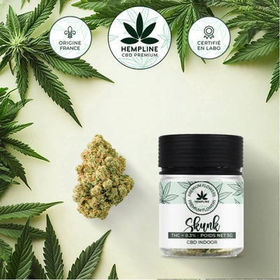 SKUNK – FLEUR DE CBD – HEMPLINE