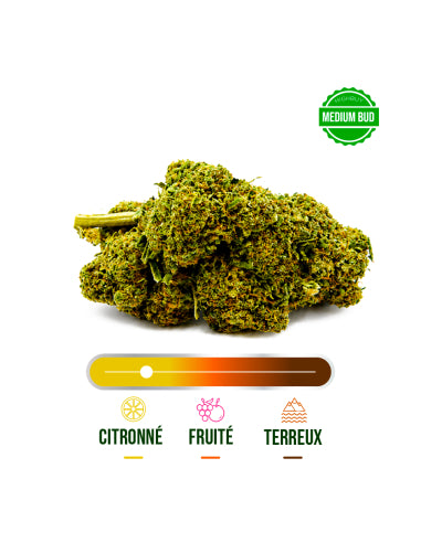 Fleur CBD Super Lemon Haze Indoor – vue 2