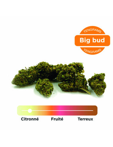 Tengrams Fleur CBD Amnesia Greenhouse 2 g – vue 2
