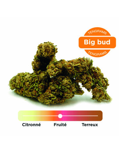 Tengrams Fleur CBD CBG Star 5 Indoor 2 g – vue 2