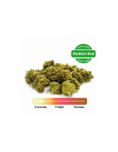 Tengrams Fleur CBD Limoncello Greenhouse 2 g – vue 2
