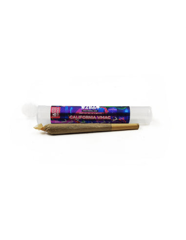 White Rabbit Pré-roll VMAC California – vue 2
