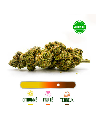 Fleur CBD White Widow Greenhouse