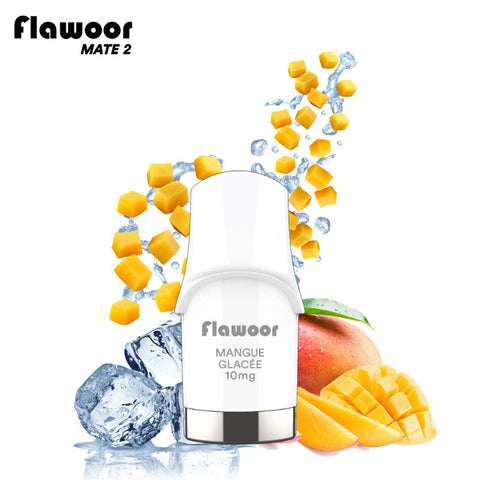 CARTOUCHE MANGUE GLACÉE / 2PCS - FLAWOOR MATE 2 - Premium cartouche from FLAWOOR - Just $8.90! Shop now at CBDeer